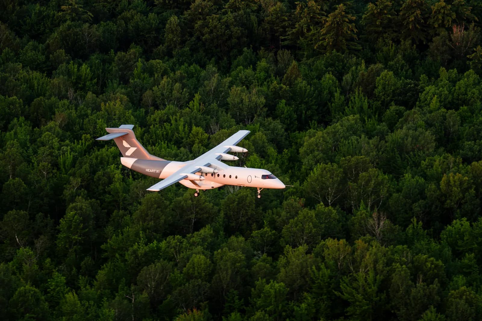 Brief image: X1 above woodland