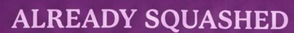 Before: the carton descriptor “ALREADY SQUASHED” in the generated campaign image, set in the wrong typeface